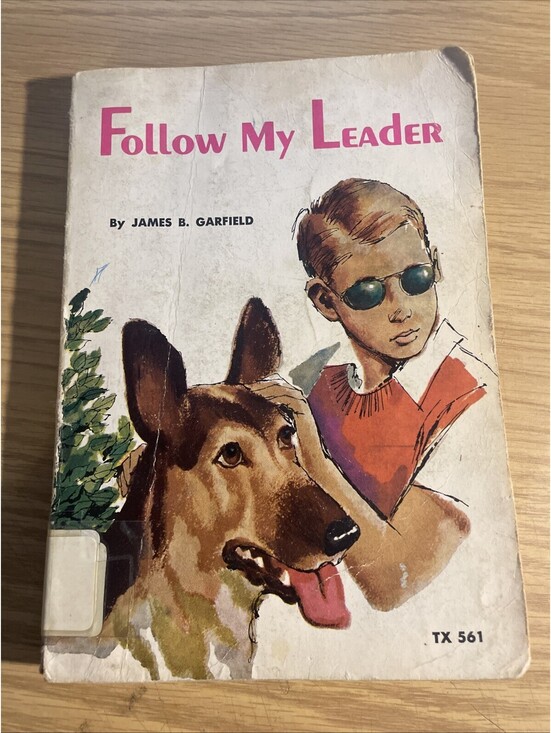 Other - Follow My Leader by James B. Garfield 1957 Paperback Illustrated Robert Greiner